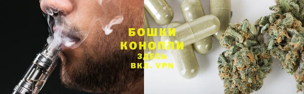 сатива Абдулино