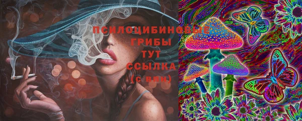 твердый Абаза