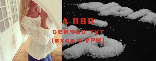 твердый Абаза