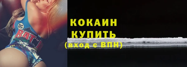 твердый Абаза