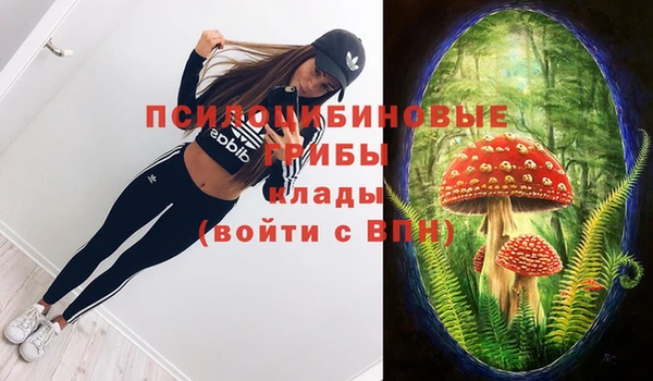 твердый Абаза