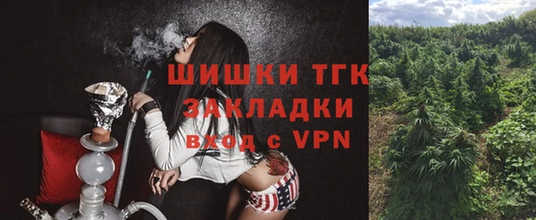 твердый Абаза