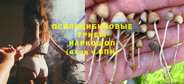 сатива Абдулино