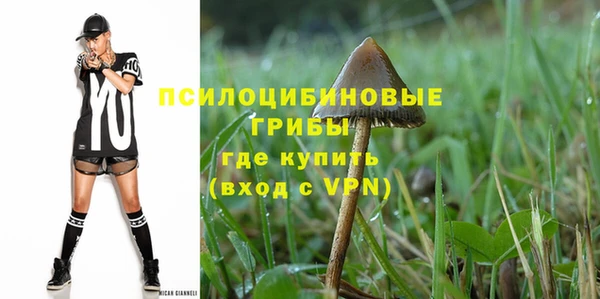 сатива Абдулино