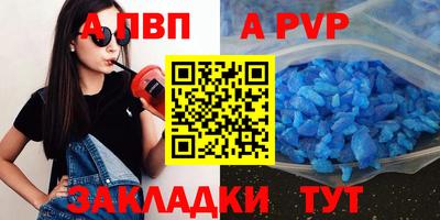 спиды Кингисепп