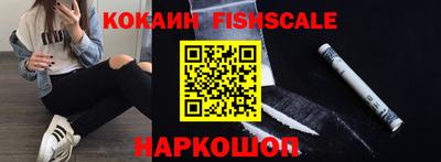 спиды Кингисепп