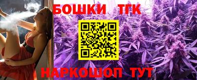 спиды Кингисепп