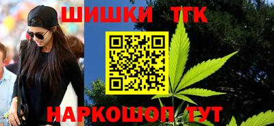 спиды Кингисепп