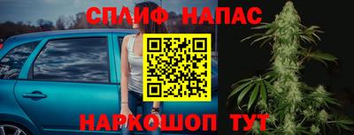 спиды Кингисепп