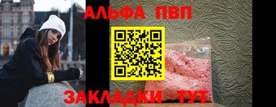 спиды Кингисепп
