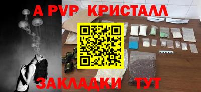 спиды Кингисепп