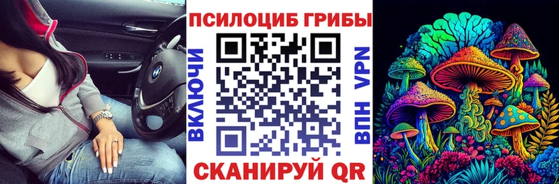 ссылка на мегу ССЫЛКА  Костомукша  Псилоцибиновые грибы мухоморы 