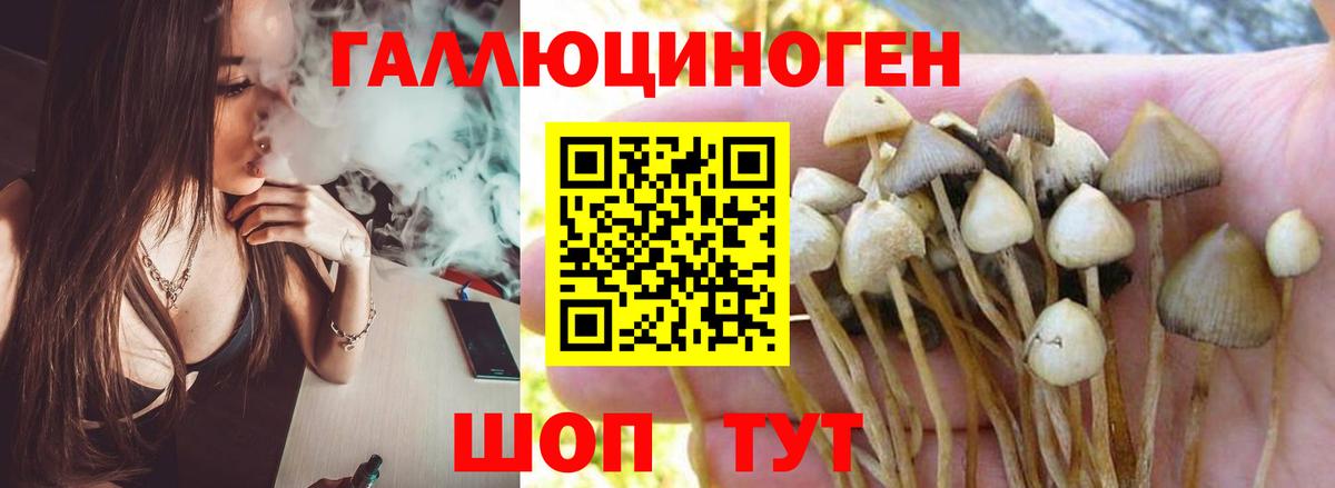 Галлюциногенные грибы ЛСД Костомукша